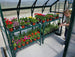 Grandio Greenhouse Potting Bench