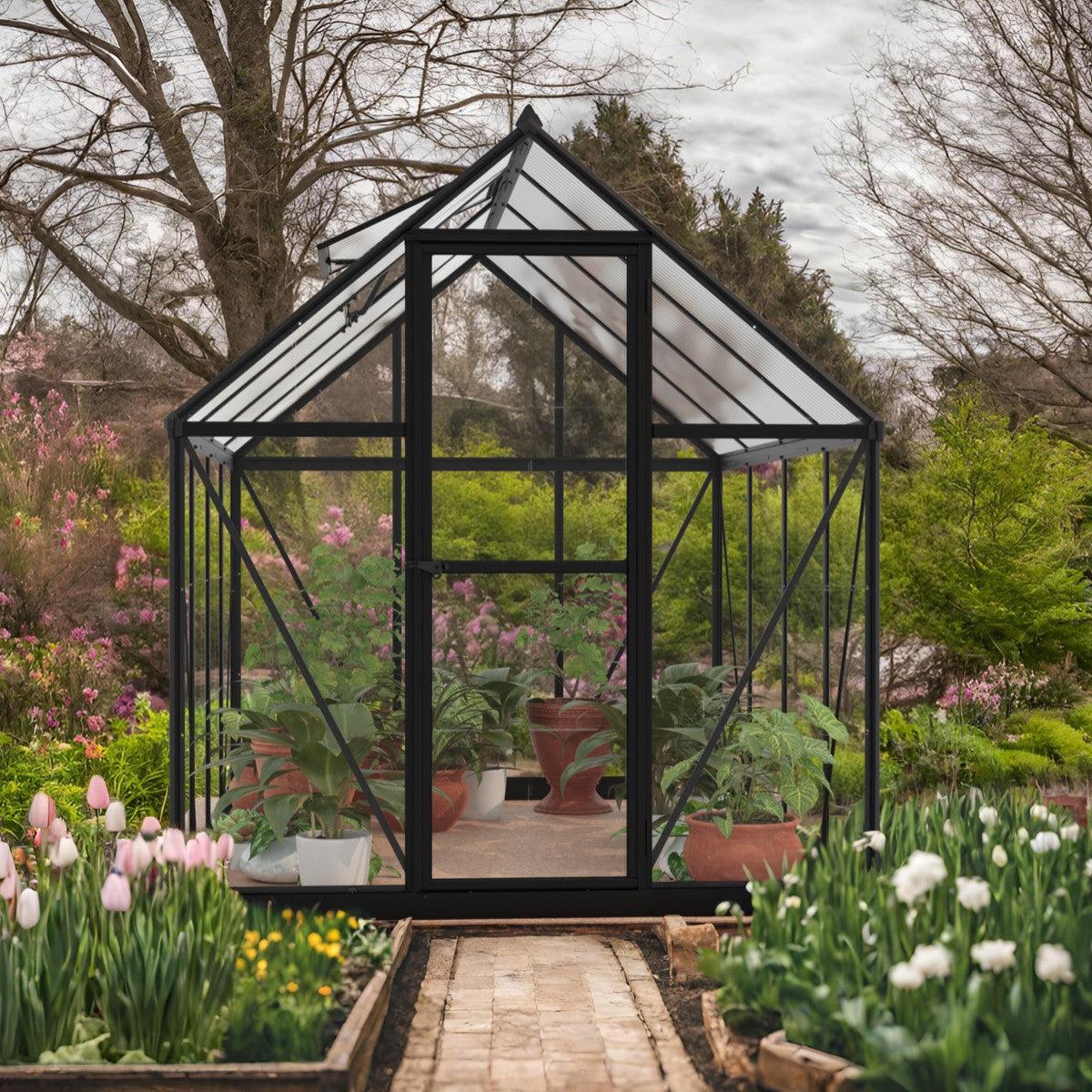 Palram - Canopia | Hybrid 6x8 ft - Black Frame With Polycarbonate Hybr