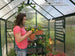 Grandio Element 6x8 Greenhouse Kit