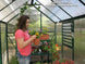 Grandio Element 6x8 Greenhouse Kit